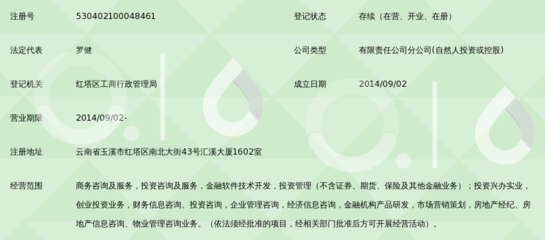 深圳利信快捷金融服务有限公司玉溪分公司创业信息咨询业务解析